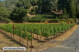 5251 Dry Creek Rd, Napa, CA 94558 - Photo 59