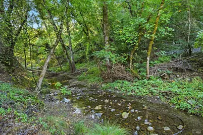 5251 Dry Creek Road, Napa, CA 94558 - Photo 33