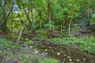 5251 Dry Creek Rd, Napa, CA 94558 - Photo 33