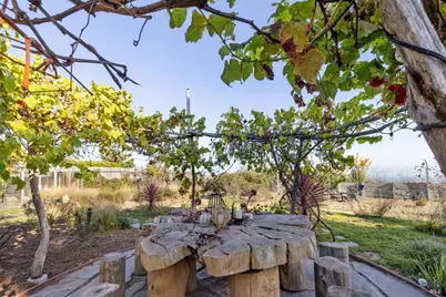 120 Juniper Road, Bolinas, CA 94924 - Photo 31