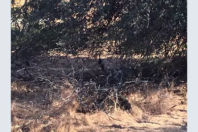 2024 Pinecrest Court, Vacaville, CA 95688 - Photo 9