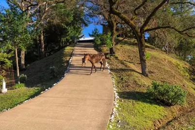 19801 Kelly Road, Geyserville, CA 95441 - Photo 19