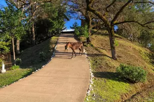 19801 Kelly Rd, Geyserville, CA 95441 - Photo 19