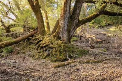 19801 Kelly Road, Geyserville, CA 95441 - Photo 61