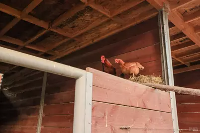 19801 Kelly Road, Geyserville, CA 95441 - Photo 51