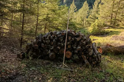 19801 Kelly Road, Geyserville, CA 95441 - Photo 59