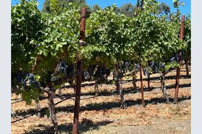 500 Artisan Circle, Geyserville, CA 95441 - Photo 45