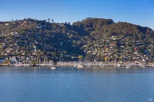 125 Belvedere Ave, Belvedere, CA 94920 - Photo 43