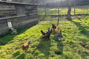 7420 Eastside Potter Valley Rd, Ukiah, CA 95482 - Photo 37