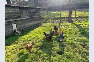 7420 Eastside Potter Valley Road, Ukiah, CA 95482 - Photo 35