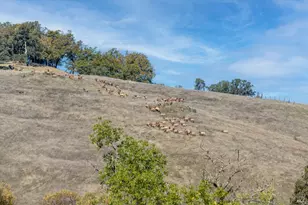 7420 Eastside Potter Valley Rd, Ukiah, CA 95482 - Photo 43