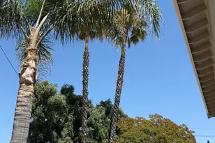 1661 Fairfield Ave, Fairfield, CA 94533 - Photo 81