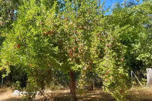 44170 Lakeview Ave, Laytonville, CA 95454 - Photo 19