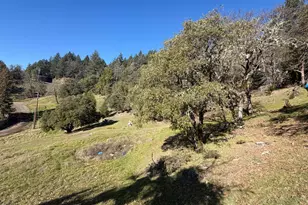 27231 Oriole Dr, Willits, CA 95490 - Photo 37