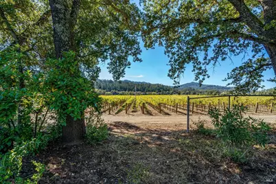 1110 Bale Lane, Calistoga, CA 94515 - Photo 55
