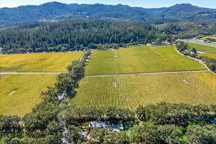 1110 Bale Ln, Calistoga, CA 94515 - Photo 63