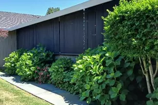 6133 Tamara Ln, Windsor, CA 95492 - Photo 37