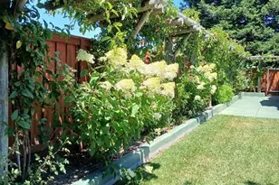 6133 Tamara Ln, Windsor, CA 95492 - Photo 21