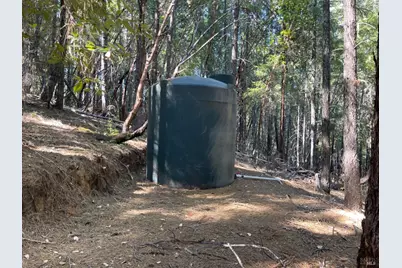 1901 Tenmile Creek Road, Laytonville, CA 95454 - Photo 7