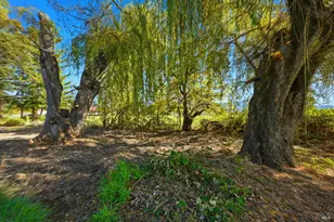 375 E Hwy 20, Upper Lake, CA 95485 - Photo 19