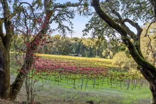 3295 Warm Springs Rd, Glen Ellen, CA 95442 - Photo 33