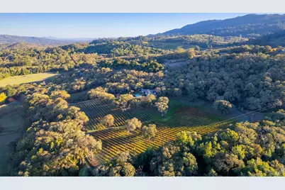 3295 Warm Springs Road, Glen Ellen, CA 95442 - Photo 3