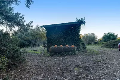 700 Old King Road, Petaluma, CA 94952 - Photo 45