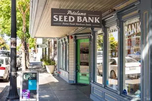 512 Kentucky St, Petaluma, CA 94952 - Photo 13