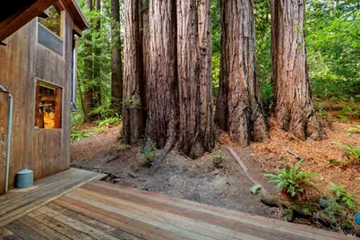 2081 Joy Road, Occidental, CA 95465 - Photo 3