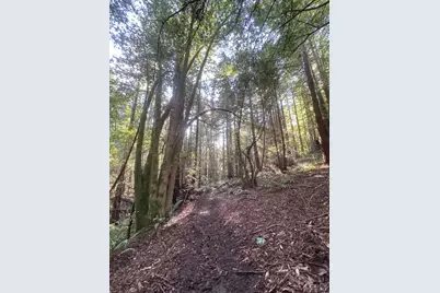 2081 Joy Road, Occidental, CA 95465 - Photo 47