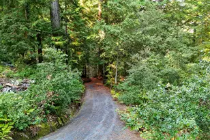 2081 Joy Rd, Occidental, CA 95465 - Photo 55