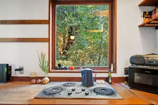 2081 Joy Rd, Occidental, CA 95465 - Photo 83