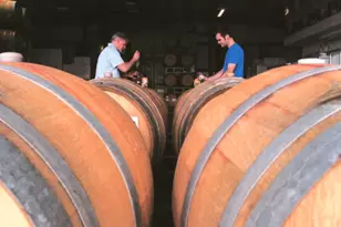 22033 Bonness Rd, Sonoma, CA 95476 - Photo 75