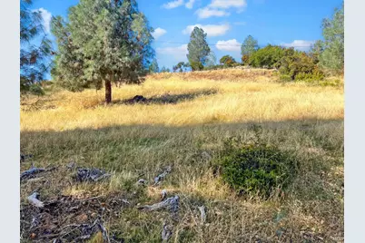 10203 El Capitan Way, Kelseyville, CA 95451 - Photo 11