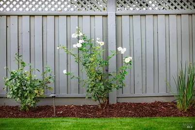 810 Wine Court, Petaluma, CA 94954 - Photo 59