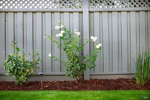 810 Wine Ct, Petaluma, CA 94954 - Photo 59