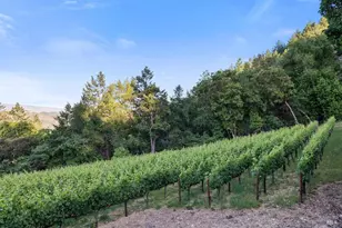 351 Wall Rd, Napa, CA 94558 - Photo 75