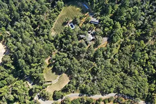 351 Wall Rd, Napa, CA 94558 - Photo 3