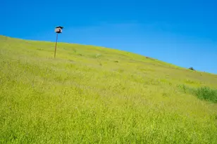 266 Cambridge Ln, Petaluma, CA 94952 - Photo 45