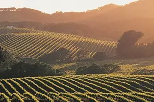 266 Cambridge Ln, Petaluma, CA 94952 - Photo 59