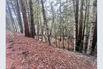 1451 Perch Way, Willits, CA 95490 - Photo 5