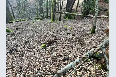 1451 Perch Way, Willits, CA 95490 - Photo 3