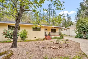 10005 Meadow Dr, Cobb, CA 95426 - Photo 3