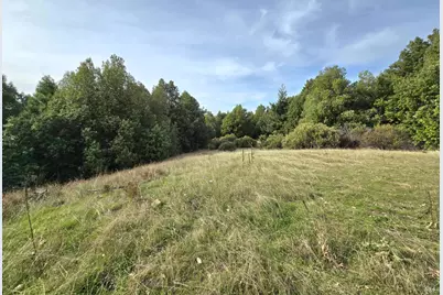 36955 Eureka Stagecoach Road, Willits, CA 95490 - Photo 37