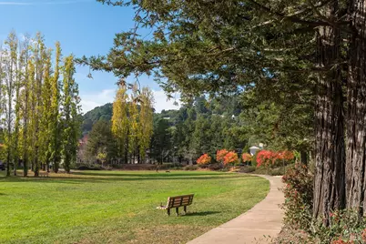 38 Creekside Court, Corte Madera, CA 94925 - Photo 29