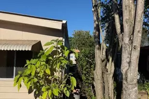 69 Guadajara St, Sonoma, CA 95476 - Photo 5