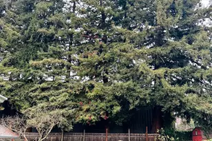 108 Pierson St, Santa Rosa, CA 95401 - Photo 27