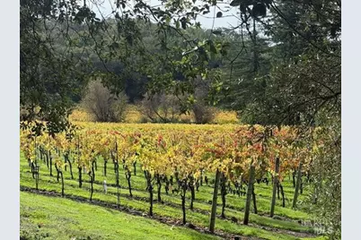 2759 Bennett Ridge Road, Santa Rosa, CA 95404 - Photo 53