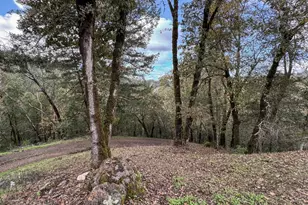 3100 Mill Creek Rd, Healdsburg, CA 95448 - Photo 35