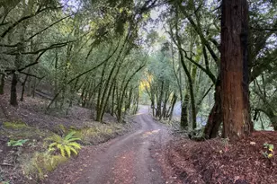 3100 Mill Creek Rd, Healdsburg, CA 95448 - Photo 39